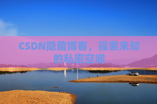 CSDN隐藏博客,探索未知的私密空间